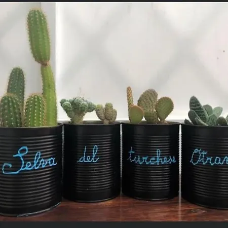 Tra Sole, Mare E Natura Lejlighed *