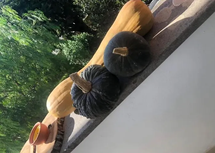 Apartment Tra Sole, Mare E Natura