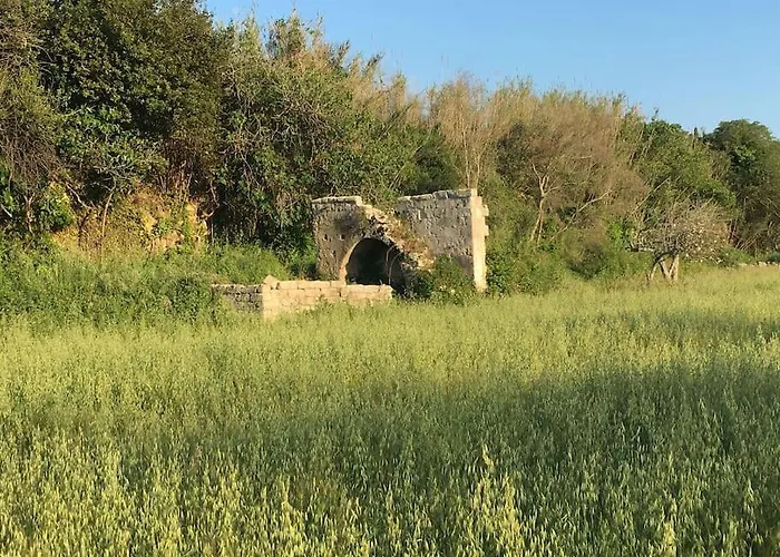 Tra Sole, Mare E Natura *