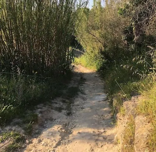 Tra Sole, Mare E Natura Apartment